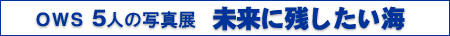 �n�v�r5�l�̎ʐ^�W�u�����Ɏc�������C�v