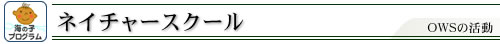 �l�C�`���[�X�N�[��