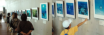 アクアマリンふくしま展示